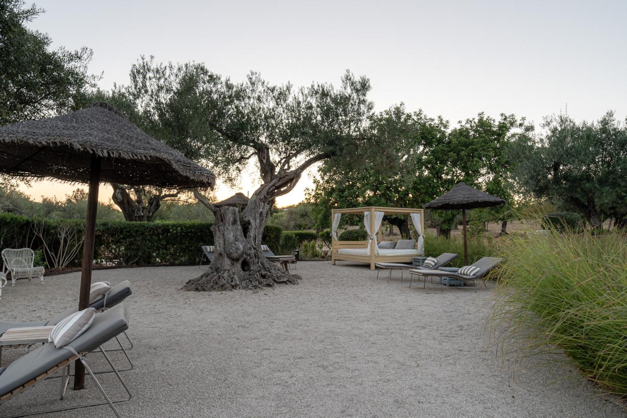 تافيرا Fazenda Nova Country House المظهر الخارجي الصورة